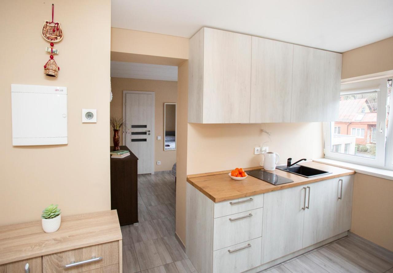 Chill&Go Apartment Kaunas Exterior foto